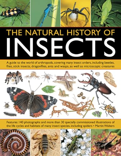 9781844764686: Natural History of Insects: A Guide to the World of Arthropods, Covering Many Insect Orders, Including Beetles, Flies, Stick Insects, Dragonflies, Ants and Wasps, as Well as Microscopic Creatures