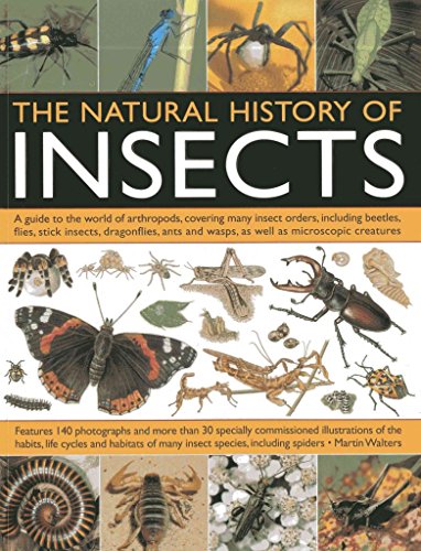 The Natural History Of Insects: A Guide to the World of Arthropods, Covering Many Insect Orders, Including Beetles, Flies, Stick Insects, Dragonflies, Ants and Wasps, as well as Microscopic Creatures (9781844764686) by Walters, Martin