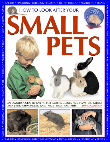 Stock image for How to Look after Your Small Pets : An Owner's Guide to Caring for Rabbits, Guinea Pigs, Hamsters, Gerbils Andjirds, Chinchillas, Rats, Mice, Birds and Fish for sale by Better World Books