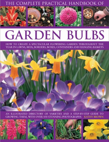 9781844765737: The Complete Practical Handbook of Garden Bulbs: How to Create a Spectacular Flowering Garden Throughout the Year in Lawns, Beds, Borders, Boxes, Containers and Hanging Baskets