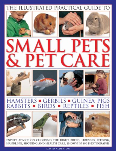 9781844765959: The Illustrated Practical Guide to Small Pets & Pet Care: Hamsters, Gerbils, Guinea Pigs, Rabbits, Birds, Reptiles, Fish
