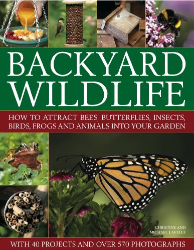 9781844769148: Backyard Wildlife: How to Attract Bees, Butterflies, Insects, Birds, Frogs and Animals into Your Garden