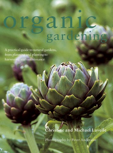 Beispielbild fr Organic Gardening: A Practical Guide to Natural Gardens, from Planning and Planting to Harvesting and Maintenance zum Verkauf von WorldofBooks