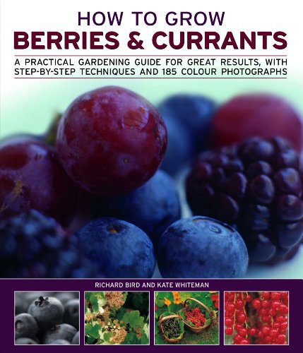 Beispielbild fr How to Grow Berries and Currants: A Practical Gardening Guide for Great Results, with Step-by-step Techniques and 185 Colour Photographs zum Verkauf von WorldofBooks