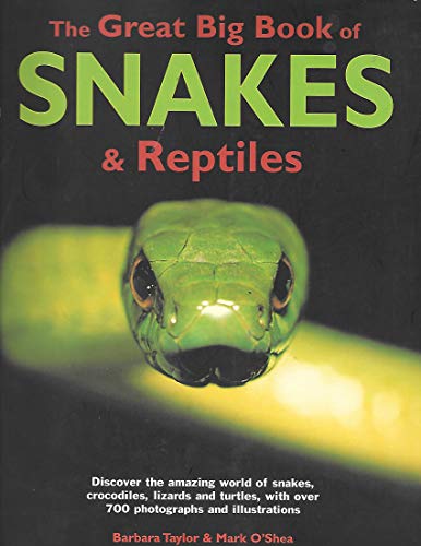 Stock image for Great Big Book Snakes & Reptiles for sale by AwesomeBooks