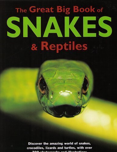 Beispielbild fr The Great Big Book of Snakes & Reptiles zum Verkauf von AwesomeBooks