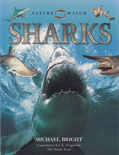 Imagen de archivo de Nature Watch Sharks a la venta por Better World Books