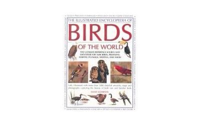 Illustrated Encyclopedia of Birds World (9781844777990) by David Alderton