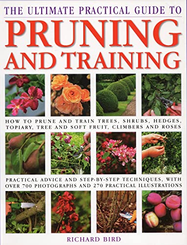 Beispielbild fr The Ultimate Practical Guide to Pruning & Training: How To Prune And Train Trees, Shrubs, Hedges, Topiary, Tree And Soft Fruit, Climbers And Roses; . Photographs And 270 Practical Illustrations zum Verkauf von SecondSale