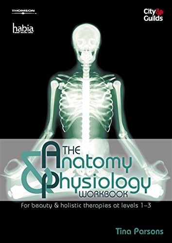 Stock image for The Anatomy & Physiology Workbook: For Beauty and Holistic Therapies at Level 1-3 for sale by WorldofBooks