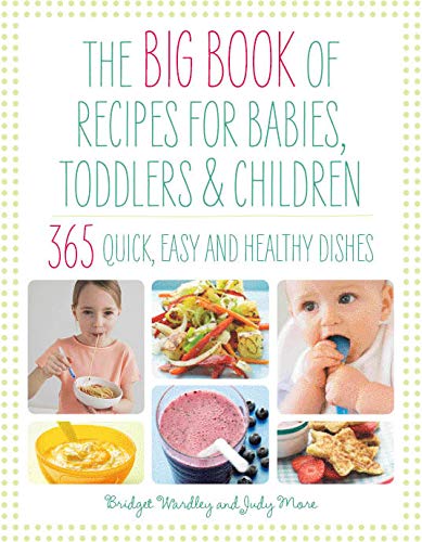 Imagen de archivo de Big Book of Recipes for Babies, Toddlers & Children, 365 Quick, Easy and Healthy Dishes: From First Foods to Starting School (The Big Book Series) a la venta por WorldofBooks