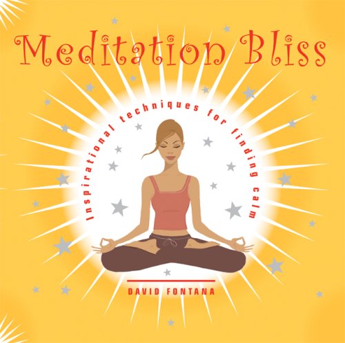 Imagen de archivo de Meditation Bliss: Inspirational Techniques for Finding Calm a la venta por SecondSale