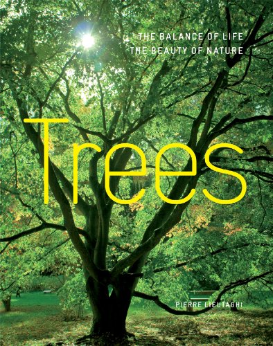 Imagen de archivo de Trees a la venta por Books Puddle