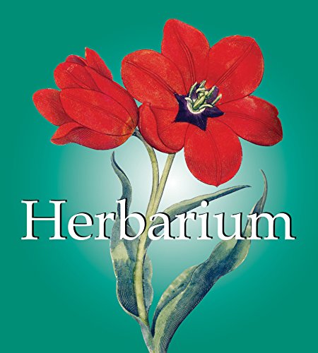 Stock image for Herbarium (Mega Square Collection) for sale by WorldofBooks