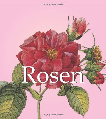 Beispielbild fr Rosen zum Verkauf von medimops