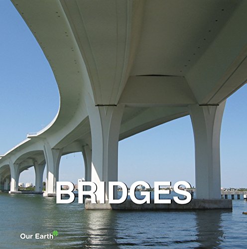 Stock image for Bridges (Our Earth Collection) for sale by WorldofBooks