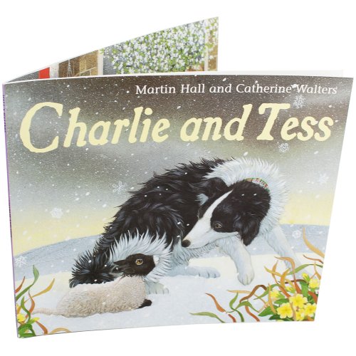 Beispielbild fr Charlie and Tess zum Verkauf von Wonder Book
