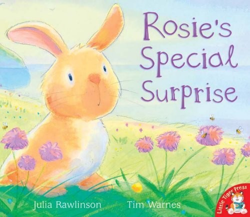 Beispielbild fr Rosie's Special Surprise zum Verkauf von WorldofBooks