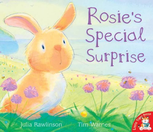 9781845060909: Rosie's Special Surprise