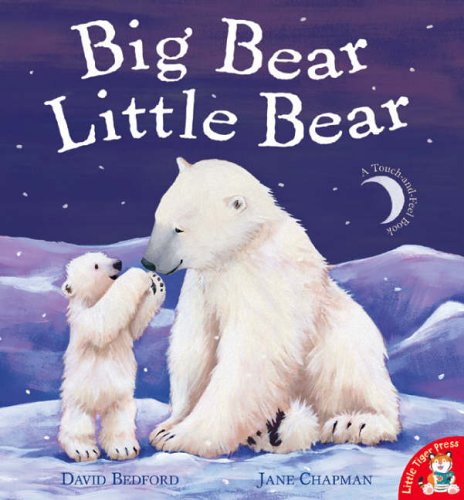 Imagen de archivo de Big Bear Little Bear a la venta por AwesomeBooks