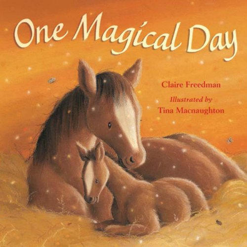 Beispielbild fr One Magical Day zum Verkauf von AwesomeBooks