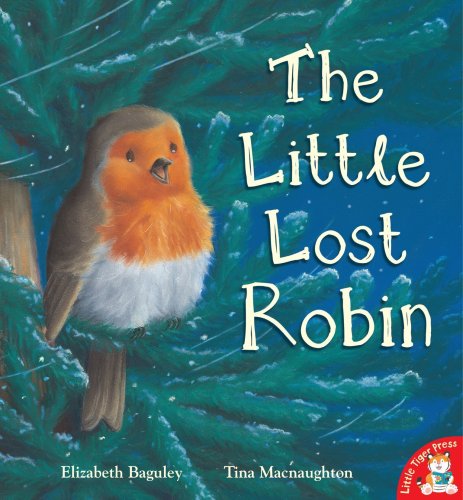 Imagen de archivo de The Little Lost Robin a la venta por Better World Books