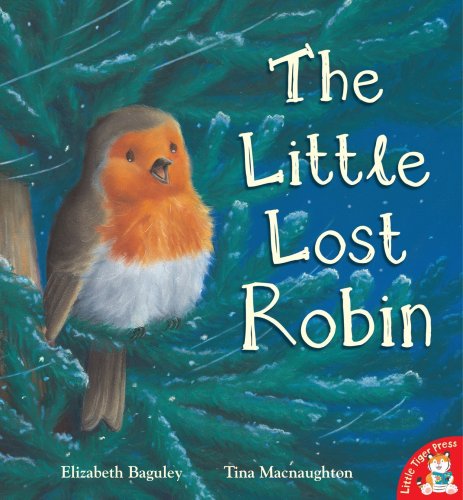 Stock image for The Little Lost Robin for sale by AwesomeBooks