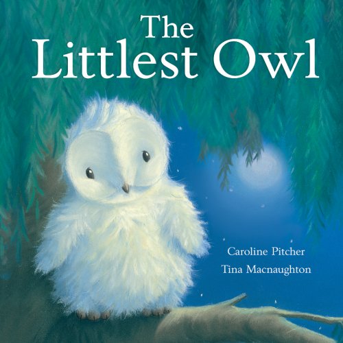 Stock image for The Littlest Owl for sale by WorldofBooks