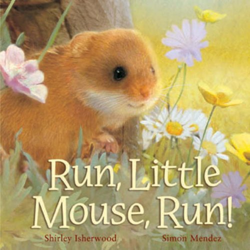 Stock image for Run, Little Mouse, Run! for sale by WorldofBooks