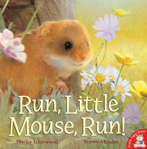 Beispielbild fr Run, Little Mouse, Run! zum Verkauf von WorldofBooks