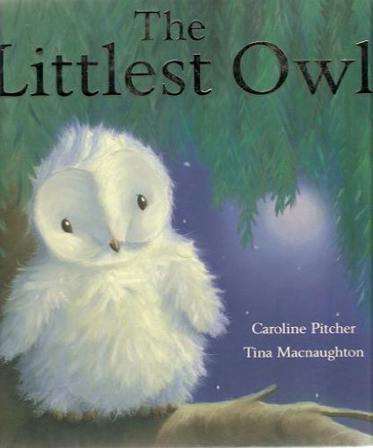 9781845067328: the-littlest-owl