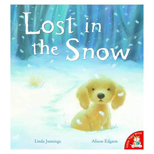 Beispielbild fr Lost in the Snow zum Verkauf von AwesomeBooks