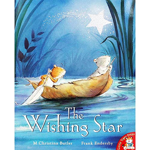 Imagen de archivo de The Wishing Star a la venta por Better World Books