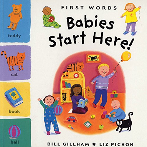 9781845071691: Babies Start Here! (US Edition) (Windy Edge)