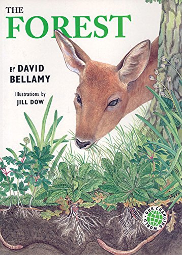 9781845072179: The Forest (Our Changing World)