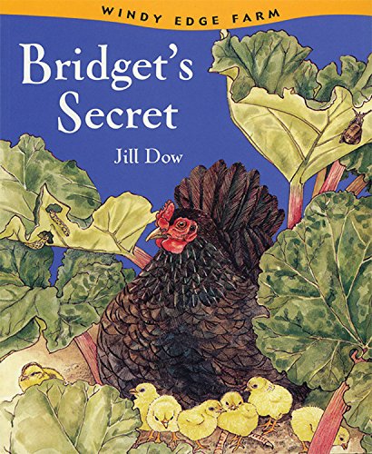 9781845072537: Bridget's Secret (US Edition) (Windy Edge)
