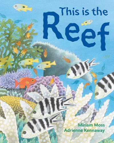 This Is the Reef (9781845076597) by Miriam Moss