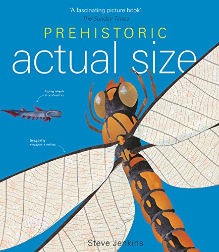Stock image for Prehistoric Actual Size for sale by WorldofBooks