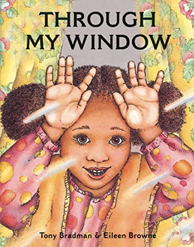 9781845078935: Through My Window