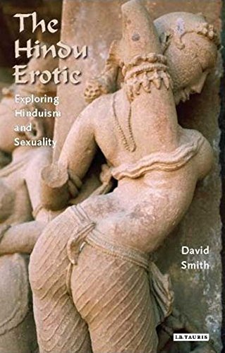 9781845113612: The Hindu Erotic: Exploring Hinduism and Sexuality