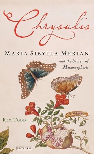 9781845114312: Chrysalis: Maria Sibylla Merian and the Secrets of Metamorphosis