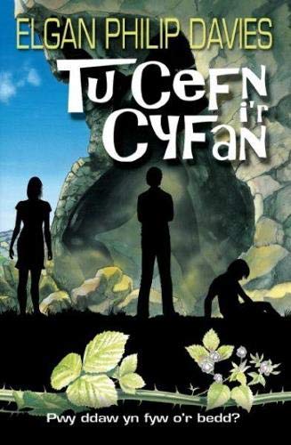 Stock image for Tu Cefn I'r Cyfan for sale by Goldstone Books