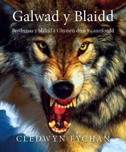 Stock image for Galwad y Blaidd: Perthynas Y Blaidd Aa Chymru Dros Y Canrifoedd for sale by WorldofBooks