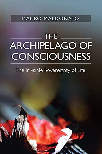 Beispielbild fr The Archipelago of Consciousness zum Verkauf von Blackwell's