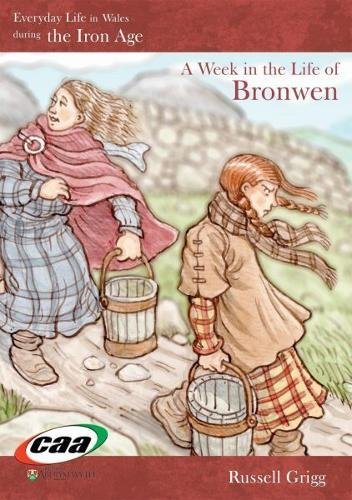 Stock image for Everyday Life in Wales in the Iron Age for sale by AwesomeBooks