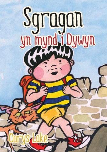 Stock image for Stragan a Tomi Yn Mynd I Dywyn (Cyfres Stragan) for sale by Revaluation Books