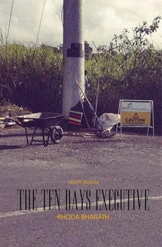 9781845232931: The Ten Day's Executive and Other Stories: Short Stories