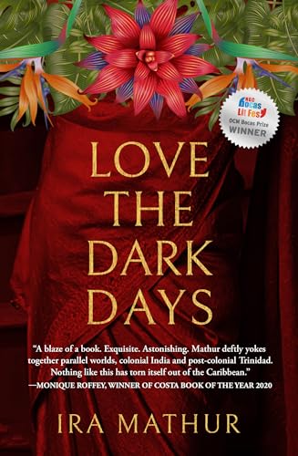 Beispielbild fr Love the Dark Days zum Verkauf von WorldofBooks
