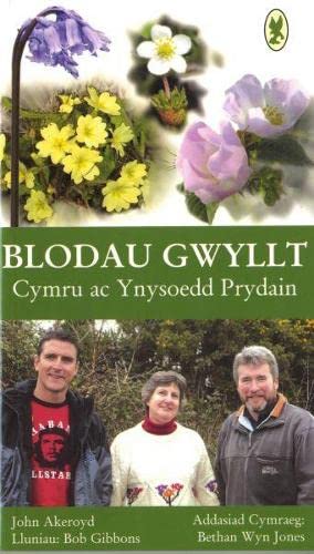 Stock image for Blodau Gwyllt Cymru ac Ynysoedd Prydain for sale by THE SAINT BOOKSTORE