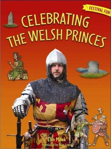 Stock image for Festival Fun: Celebrating the Welsh Princes (Welsh Edition) for sale by Wonder Book